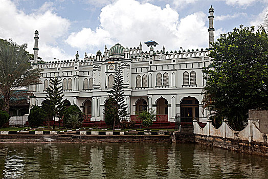 清真寺,布鲁维拉,西部,省,斯里兰卡,亚洲