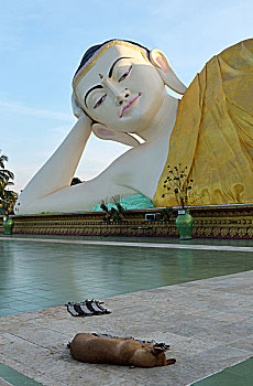 雕塑,卧佛,户外,巴格,缅甸,亚洲