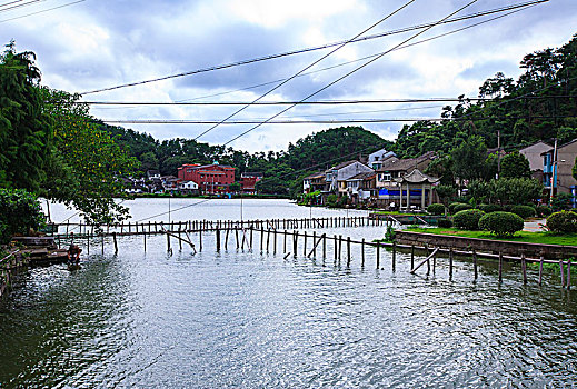 东钱湖,莫枝村,乡村,夏天,湖畔