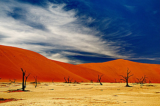 非洲,纳米比亚沙漠