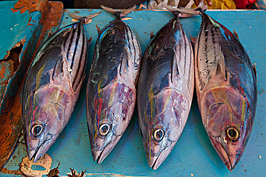 鱼肉,出售,市集,霍尼亚拉,所罗门群岛,太平洋
