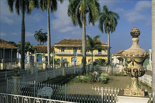 古巴,特立尼达,广场,园丁,工作,小,花园,棕榈树