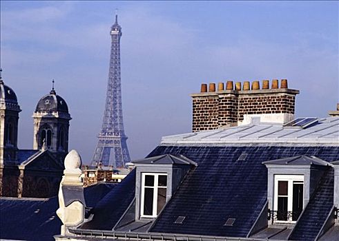 法国,巴黎,屋顶,埃菲尔铁塔,背影
