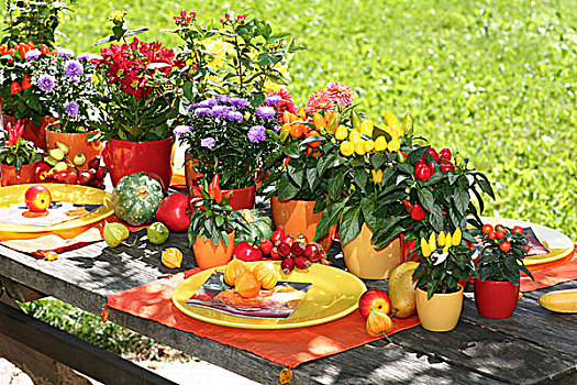 花园桌,遮盖,明亮,装饰,水果,花,蔬菜