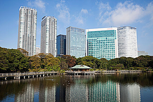 反射,摩天大楼,水中,花园,汐留,东京,日本