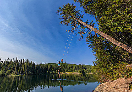 跳跃,树,绳索,夏天,冠军,湖,省立公园,不列颠哥伦比亚省,加拿大