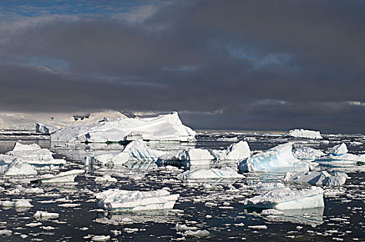 冰山,港口,格拉克海峡,南极半岛,南极