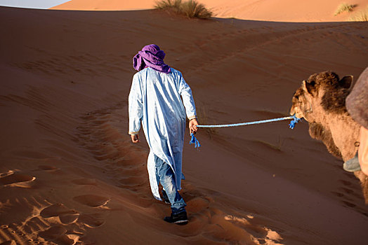男人,驼队,撒哈拉沙漠,摩洛哥
