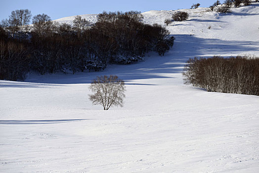 雪景