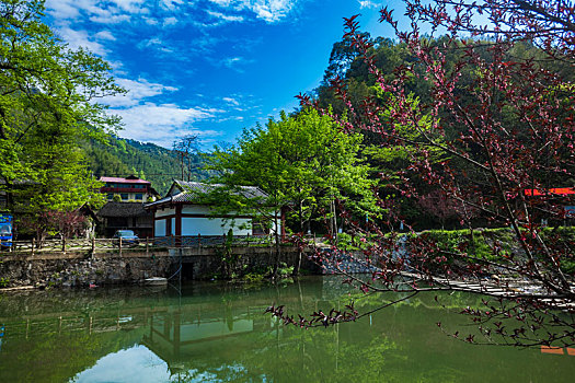 乡村景色