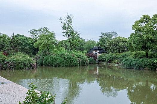 常州红梅公园初夏风光