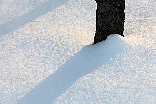 大雪,洁白,干净,寒冷,白色,覆盖,扫雪,便道,雪景,行走