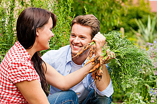 园艺,夏天,幸福伴侣,收获,胡萝卜,许多,有趣