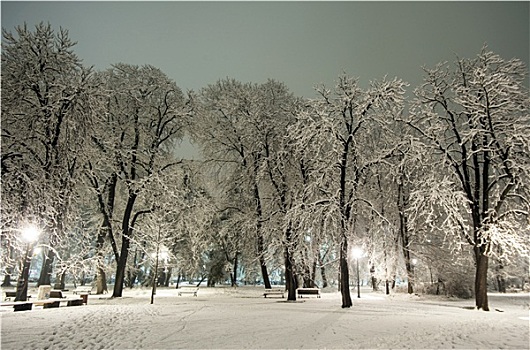冬天,雪,公园