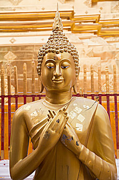 泰国,清迈省,寺院,素贴,金色,佛像,片,金箔,供品