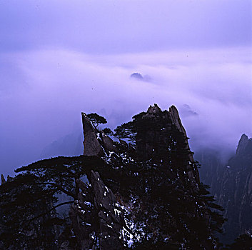 黄山,云海,蓝天,山峰