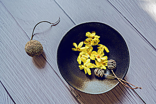 静物,迎春花,连翘,陶制碗,植物干果,装饰