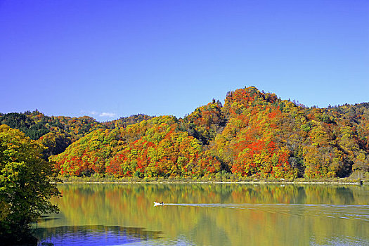 湖,彩色