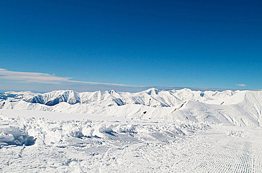 高山,雪