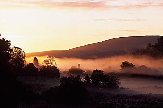 早晨,薄雾,格兰达洛,威克洛郡,爱尔兰