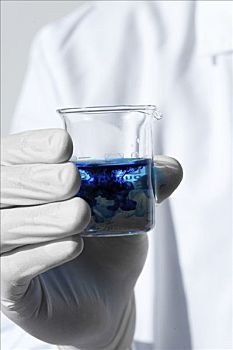 化学,实验室,量杯,烧杯,蓝色,食用染料