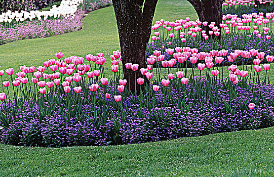 宝翠花园,维多利亚,温哥华岛,不列颠哥伦比亚省,加拿大