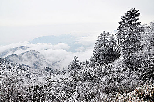 成都西岭雪山美丽雪景