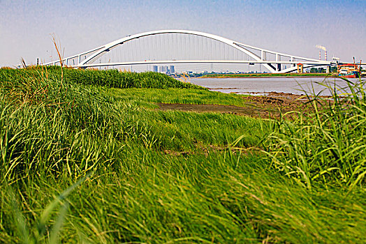 宁波,明州大桥,桥梁,建筑,钢结构,线条,交通