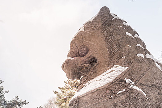 雪后清昭陵的石狮子特写