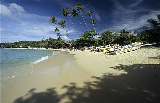 船,海滩,乌纳瓦图纳,斯里兰卡