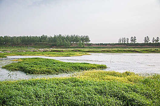 河流湿地