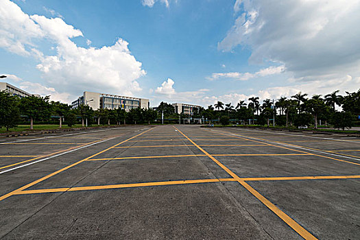 福建省福州市推动非遗技艺“潮”起来 软木画走红，加速融入生活场景