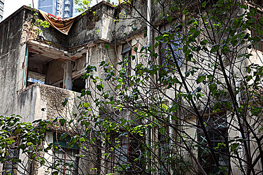 老,住宅,梯子,街道,中心,香港