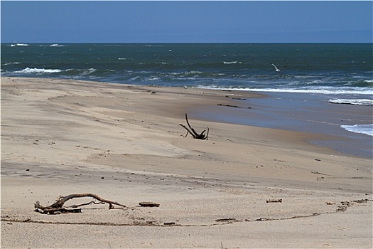 海岸,斯瓦科普蒙德,纳米比亚