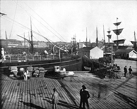 港口,奥克兰,新西兰,1893年,艺术家