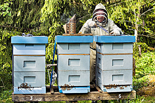 养蜂人,靠近,蜂巢