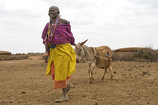 驴,肯尼亚