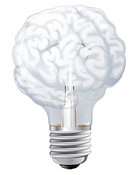 大脑,电灯泡