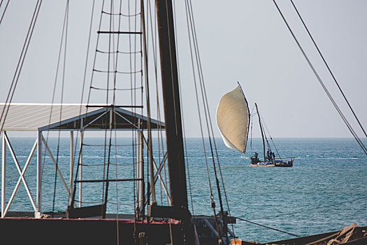木质,帆船,独桅三角帆船,清晰,青绿色,水,桑给巴尔岛