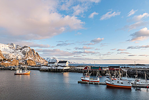 渔船,港口,黎明,瑞恩,罗弗敦群岛,挪威,欧洲
