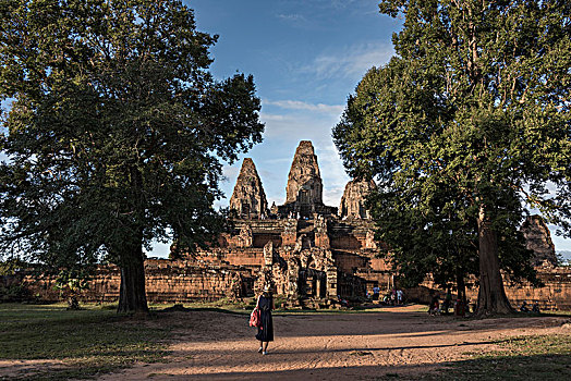旅游,庙宇,收获,柬埔寨