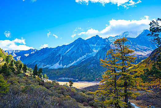 稻城亚丁秋色,秋季风光,高原雪山摄影,四川,甘孜州,秋天风景,自然风光摄影,仙乃日,央迈勇,夏诺多吉,三大神山,2020年