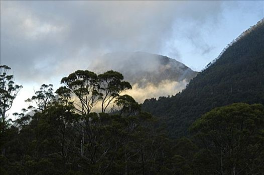 晨雾,靠近,小屋,奥弗兰,摇篮山,国家公园,塔斯马尼亚,澳大利亚