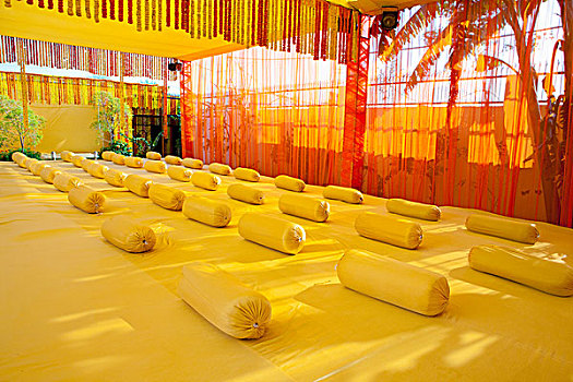 房间,装饰,黄色,卷,垫子,剪影,棕榈树,展示,透明,帘,户外,旁遮普,印度