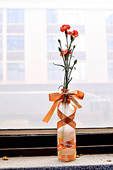 花瓶里的康乃馨