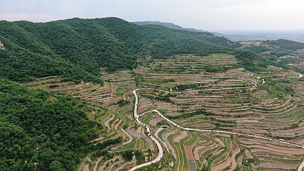 山东省日照市,莒县梯田美如画,错落有致美不胜收