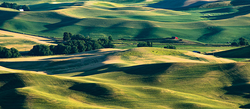 palouse,farmland,帕卢斯麦田