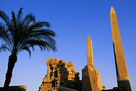 埃及,尼罗河,路克索神庙,卡尔纳克神庙,方尖塔,右边,左边