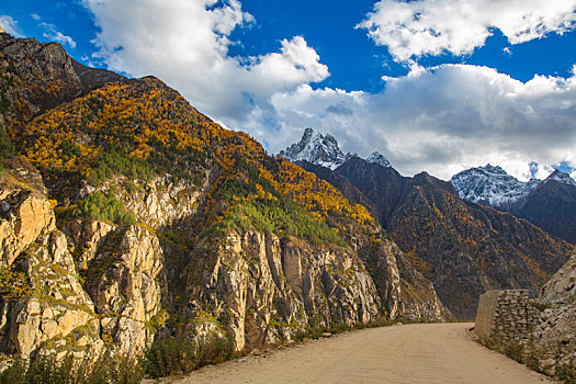 汽车风景