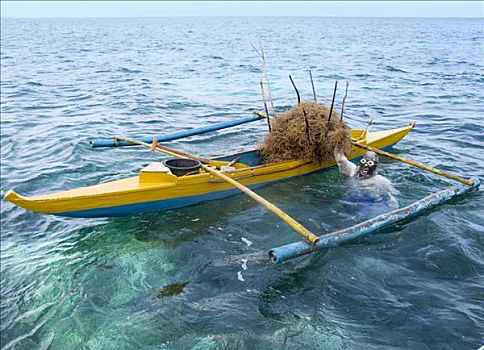 菲律宾,潜水,收获,海草,太平洋,东南亚
